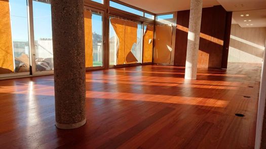 Suelo de madera barnizado con acabado mate, grandes ventanales con luz natural, columnas de hormigón visto